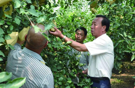 杨双牛：40年深耕，石头缝里长出亿元产业