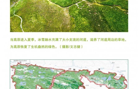 走近三江源|呵护三江源：高原生物的寄托——草