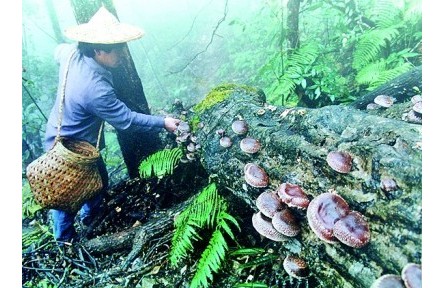 农业文化遗产中的语言智慧