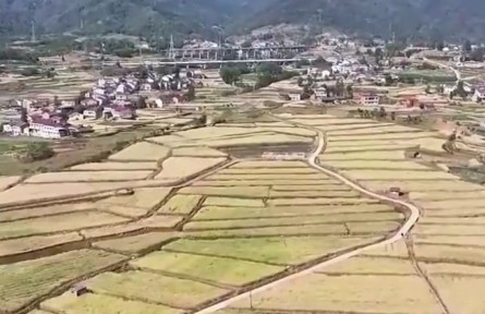 【在希望的田野上·三夏时节】各地抢抓夏收夏种 夯实粮食丰收基础