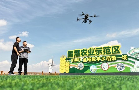 科技赋能解锁插秧“新姿势”