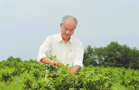 全国道德模范袁守根：一生种好一棵树
