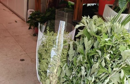 身价大涨！艾草花束成年轻人的端午“新宠”