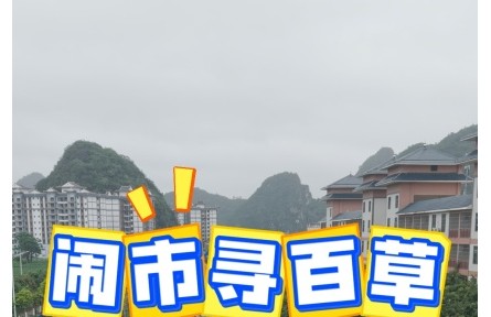 闹市寻百草 靖西药市全体验