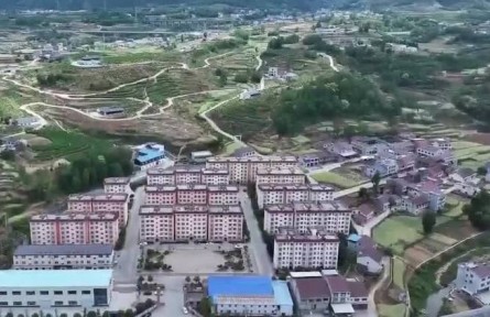 陕西安康：新模式助推蚕桑产业提质增效
