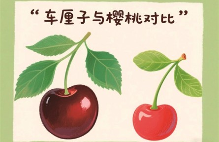 辟谣|“车厘子有毒”的流言与真相