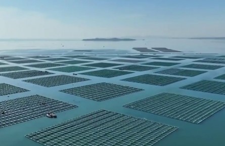 辽宁：建设海洋牧场 充实“蓝色粮仓”