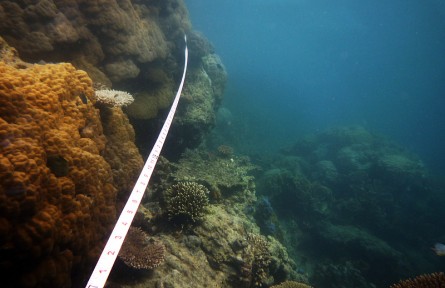 科技名词|扫海测量 wire drag survey，sweep