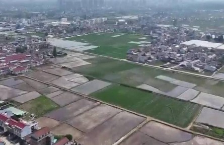 陕西：抢收抢种农事忙 机械化作业显成效