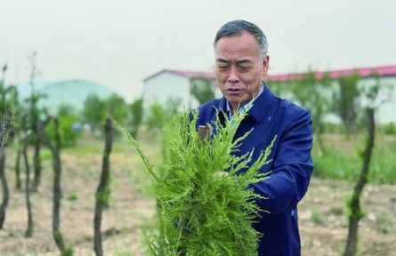 刘小京：农业科研要考虑“后天的事”