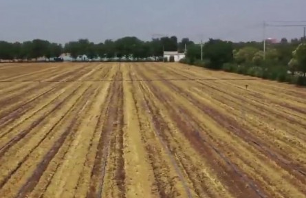 陕西：科技赋能节水灌溉 有序推进夏播生产