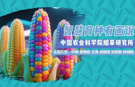 智慧育种有画说