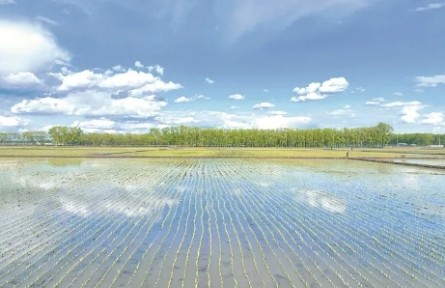 黑龙江：从“大粮仓”到“定制厨房” 北大荒探索高端农业新路径