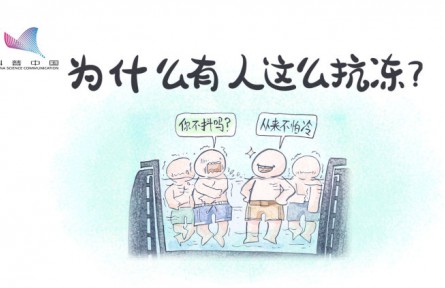 真的有人更不怕冷吗？原来是骨骼肌中缺少一种蛋白