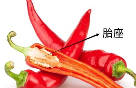 辟谣|辣椒最辣的部位是籽？这是真的吗？