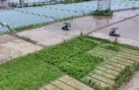 【在希望的田野上·三夏时节】全国已夏播粮食2.7亿亩 进度过半