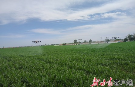 甘肃：采取有力措施力保粮食丰收