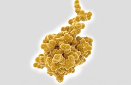 科技名词|泛素化 ubiquitination