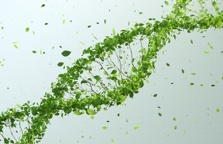 科技名詞|生長因子 growth factor，GF