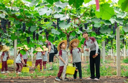 縣融記者：夏日長(zhǎng) 果飄香