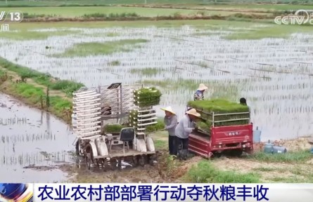 全力以赴打牢秋粮丰收基础 奋战100天防汛抗灾、抓夏管、提单产