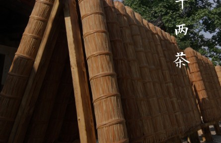 一柱千两茶，半部茶叶史