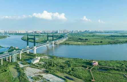 黑龙江：做强“农头工尾”壮大县域经济