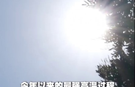 应对持续高温天气 各地多举措稳生产保民生