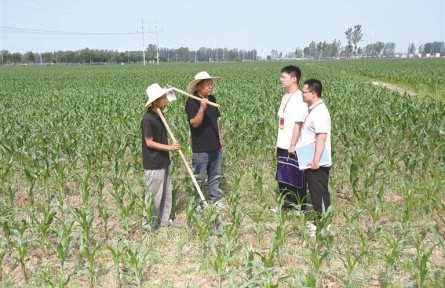 河南护航高标准农田建设 筑牢粮食安全根基
