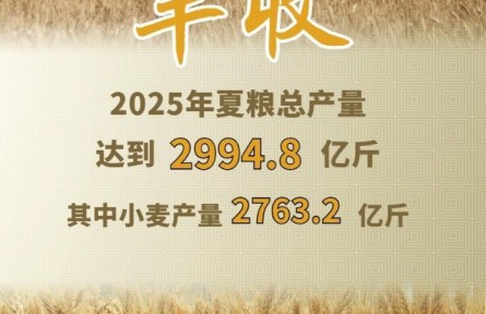 今年全国夏粮获得丰收 总产量达2994.8亿斤