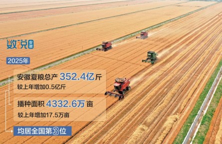 2025年安徽夏粮总产352.4亿斤 居全国第三