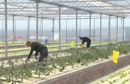 陕西：绿色智能亮点十足 科技赋能三秦沃野