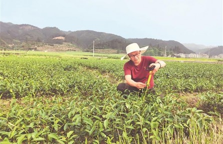 “绿色使者”吴开勇：深耕林海二十八载