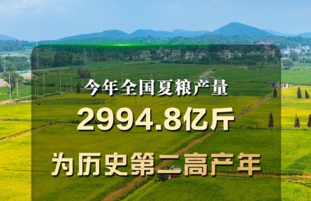 历史第二高产年 今年全国夏粮产量2994.8亿斤