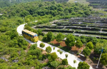 湖北老河口市牧场村：昔日荒山变成“绿色银行”