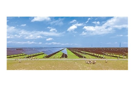 青海海南州：以“光伏+生态+农牧业”治理荒漠化