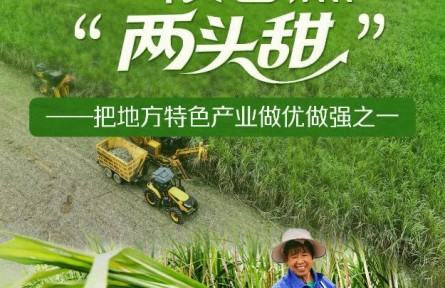 习近平总书记关切事|一根甘蔗“两头甜”——把地方特色产业做优做强之一
