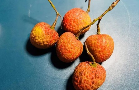 吃荔枝能降糖？千万不要这么做！