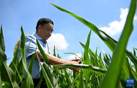 “不管啥时候，都要把地种好”——记时代楷模、“种粮大户”徐淙祥
