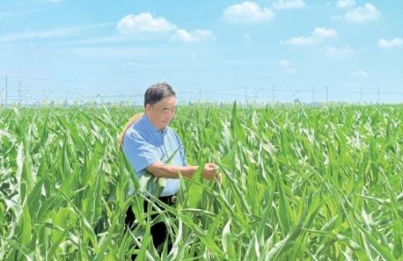 53本笔记，半个世纪“粮心”——记时代楷模、安徽省太和县种粮大户徐淙祥