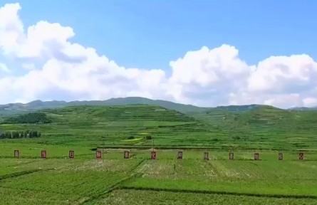 甘肃：“科技小院”精准赋能乡村产业发展