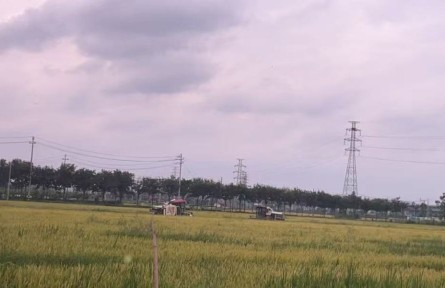 浙江湖州：春粮生产实现“三增长”