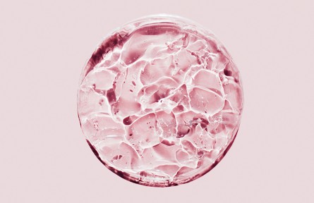 科技名词|胶原蛋白 collagen