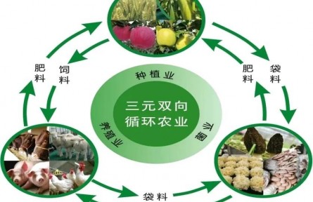 黄土旱塬“三元双向”农业绿色发展的实践与思考——基于对甘肃省庆阳市的调研