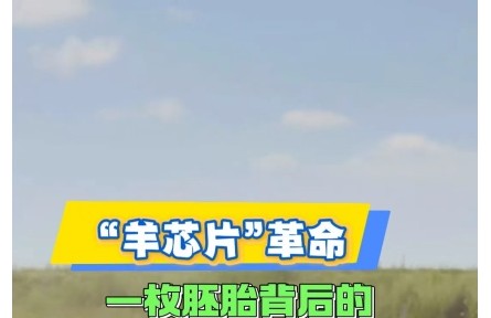 “羊芯片”革命：一枚胚胎背后的乡村振兴密码