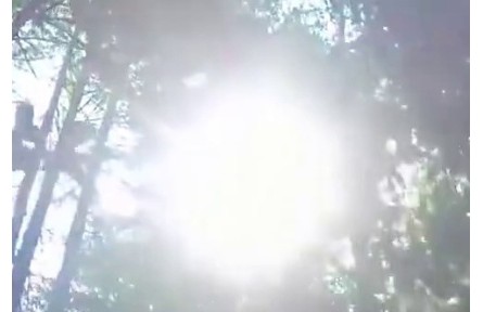 看空山割漆人如何“炼”成“涂料之王”