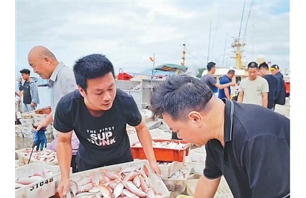 广东阳江 开渔季的变与不变