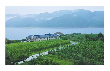 有世界最大“野生山葡萄”原酒贮藏窖，所产葡萄酒为开国大典专用酒  在“北国山城”品“东方波尔多”——“北冰红”