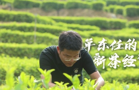 “新农人”单东任的“新茶经”