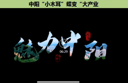 品牌短視頻④：中陽“小木耳”蝶變“大產(chǎn)業(yè)”